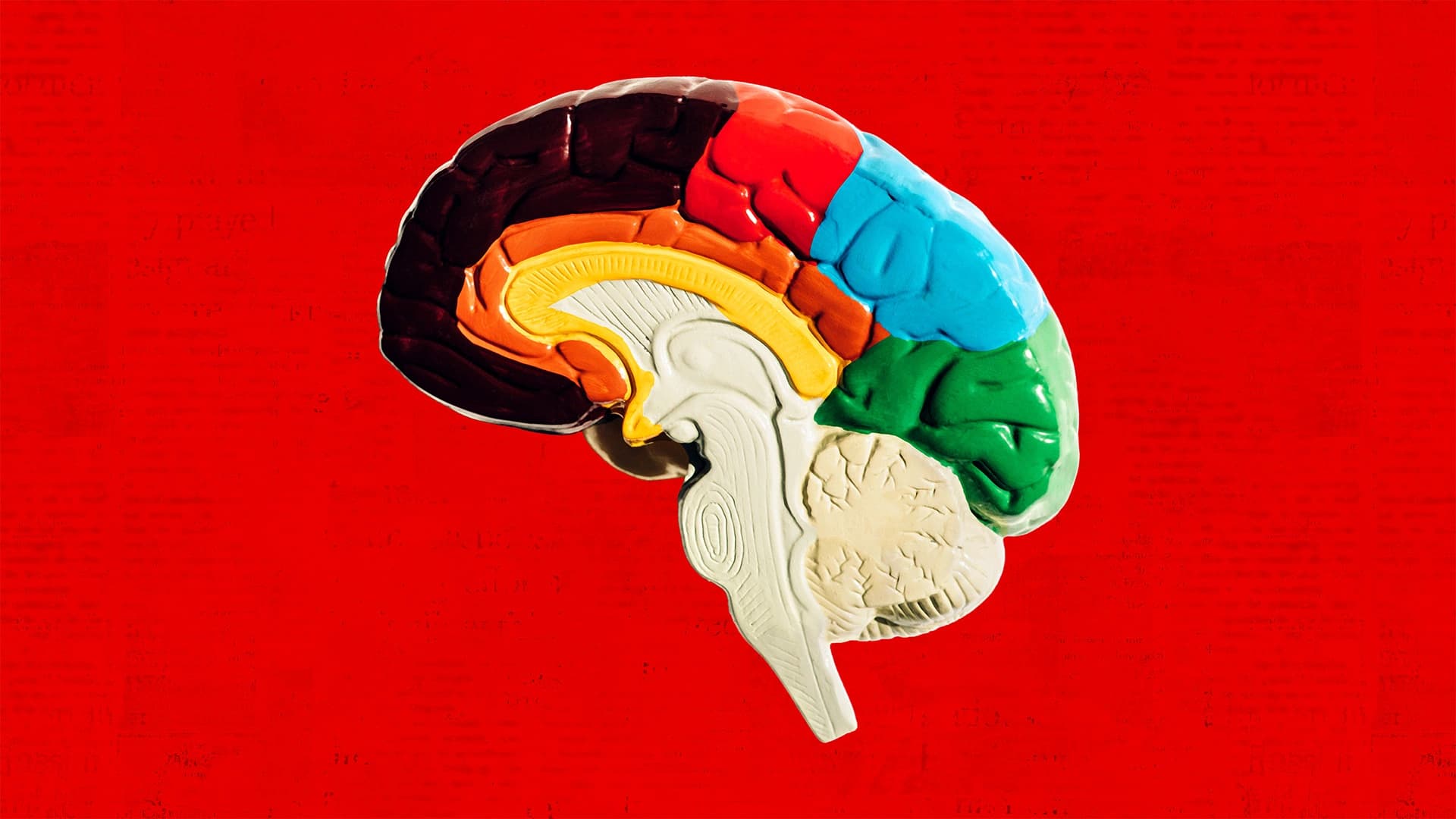 Alzheimer's Prevention: What Atlanta Business Leaders Should Know