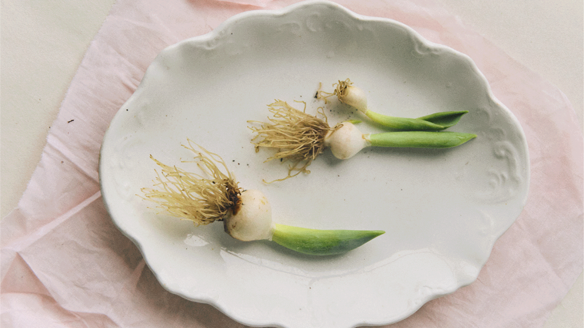 Luxury Perfume Founder's Film Strategy Creates 1M-Person Waitlist