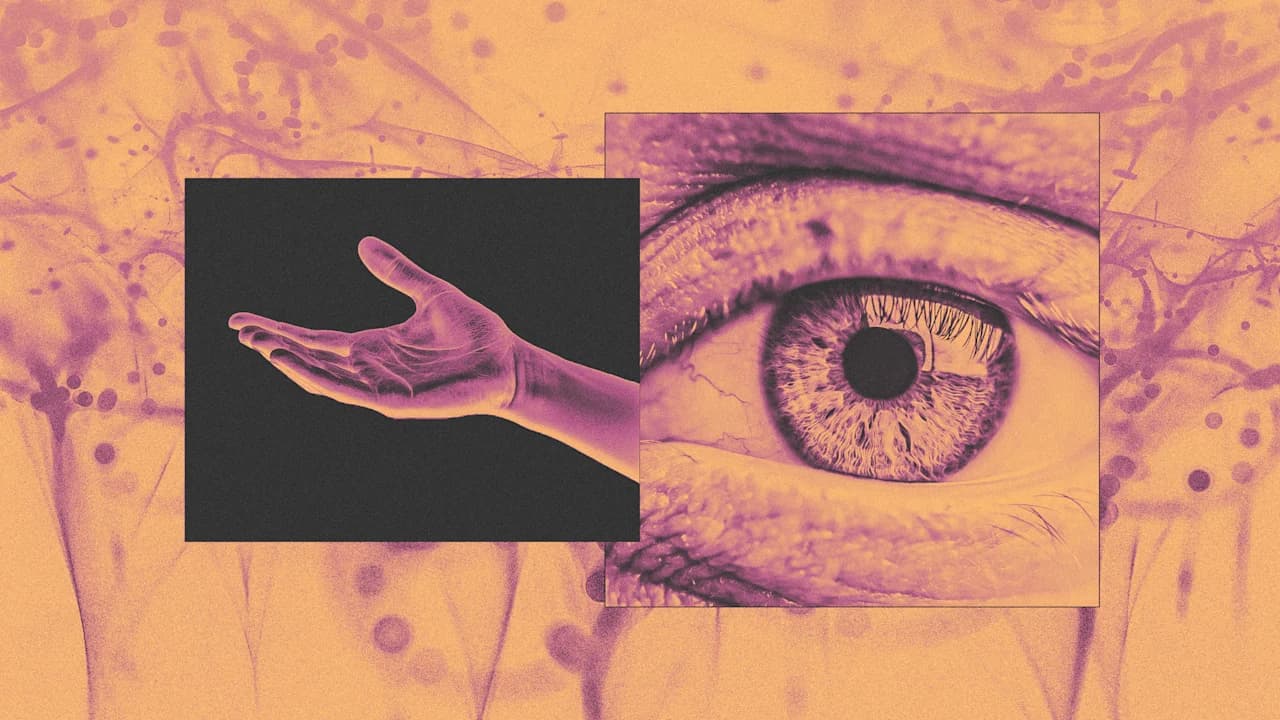 Build Better Teams: A Neuroscientist's Guide to Empathetic Management