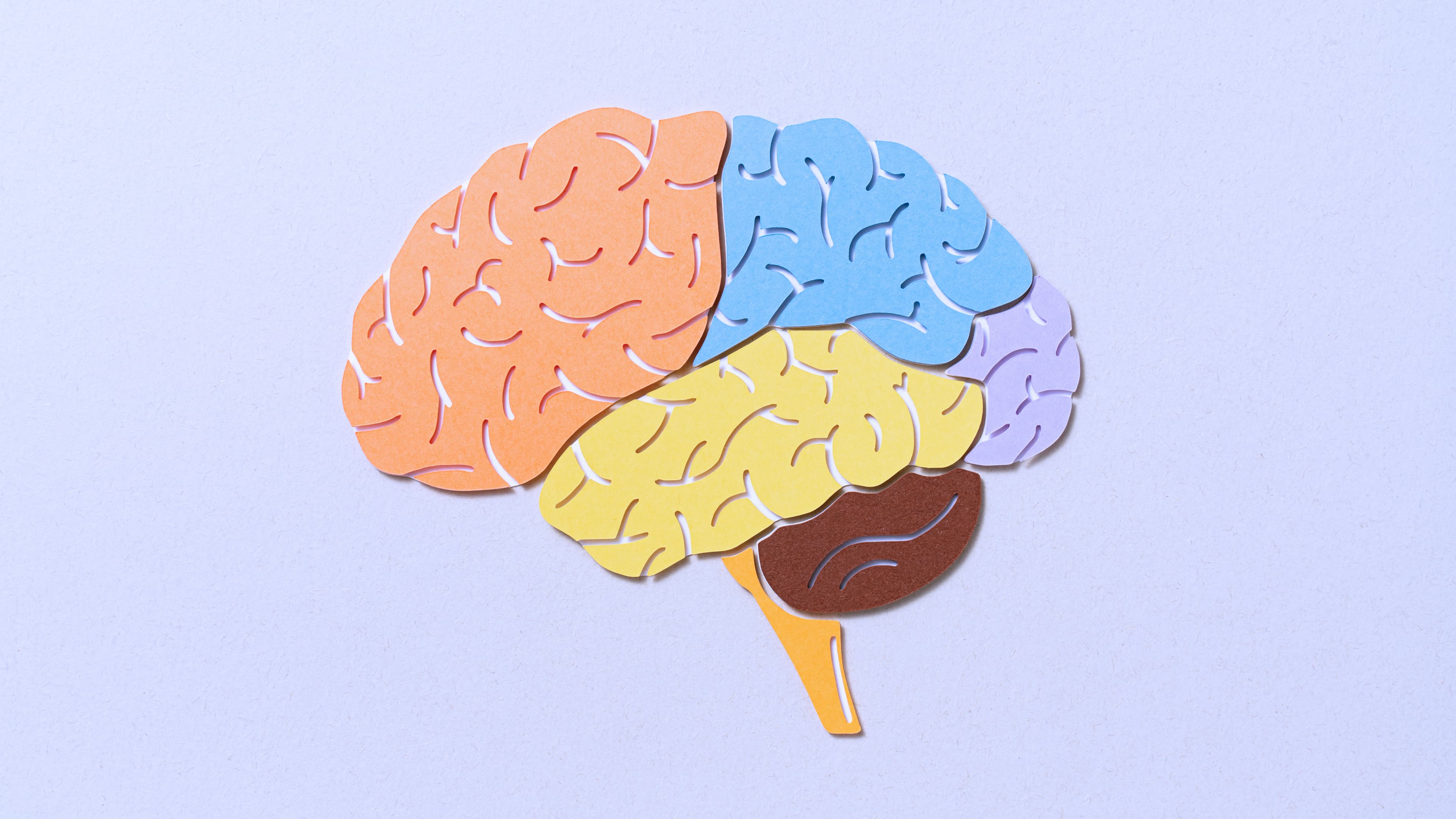 Sleep Consistency Matters More Than Duration for Brain Health