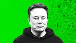 Musk's Grok AI Chatbot Seeks Elite Writers for Training