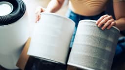 Air Quality Link to Workplace Productivity: What Atlanta Employers Should Know