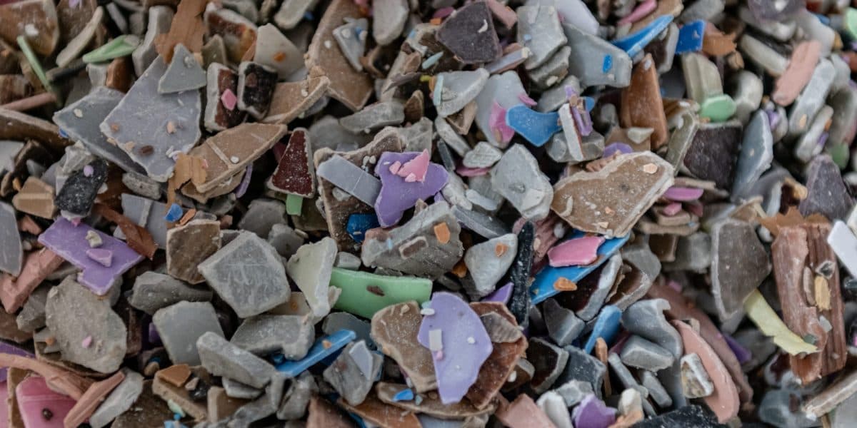 Chemical Pollution Threatens Fertility Across Species, Regional Impact Looms