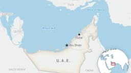 UAE's OPEC Exit Signals Shift in Global Oil Markets