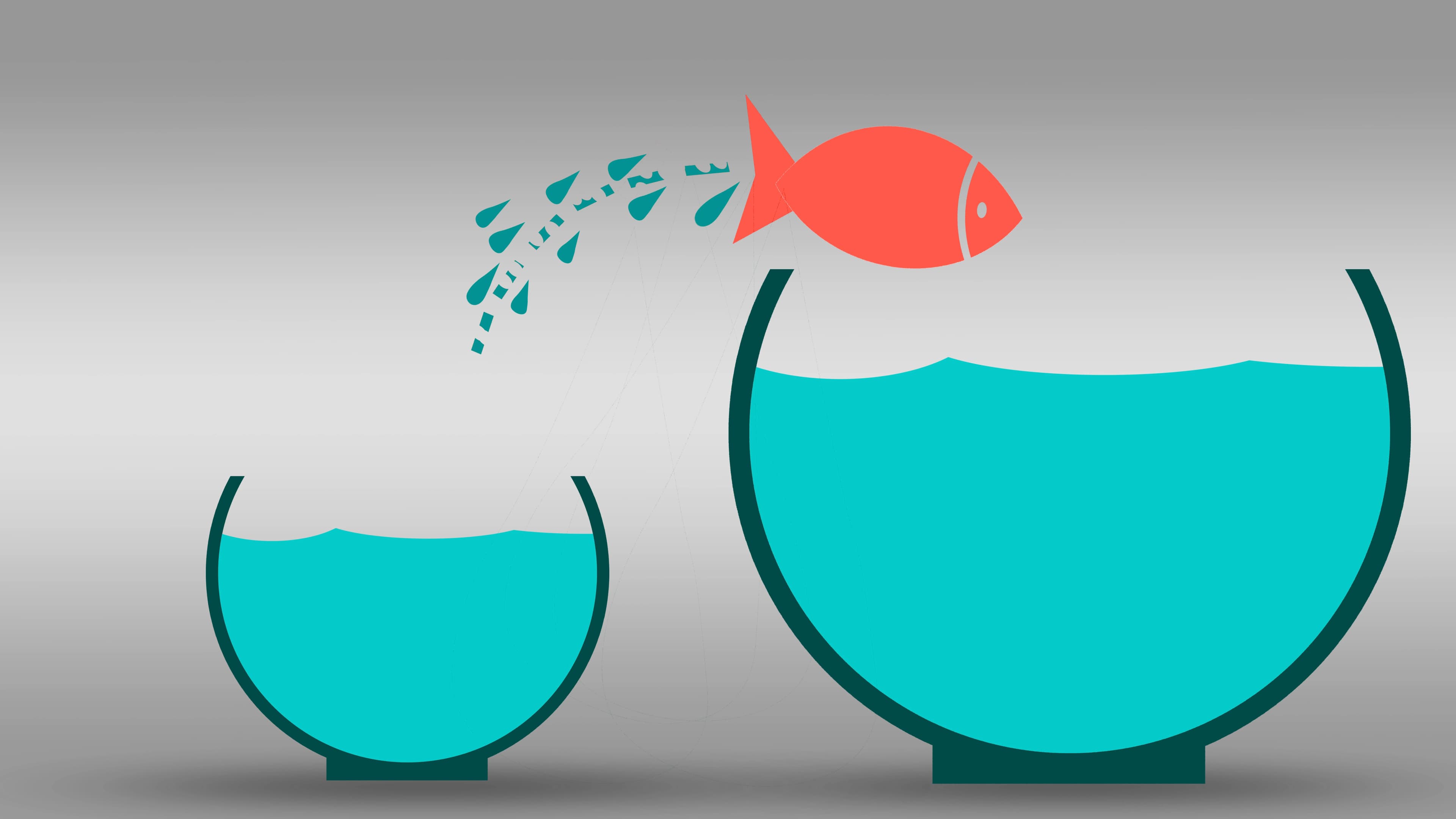 Undervalued at Work? It May Be Time to Find the Right Fit